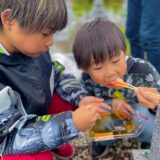 自動お掃除機能付きエアコンの落とし穴と、祖母とのお墓参り