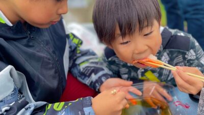 自動お掃除機能付きエアコンの落とし穴と、祖母とのお墓参り